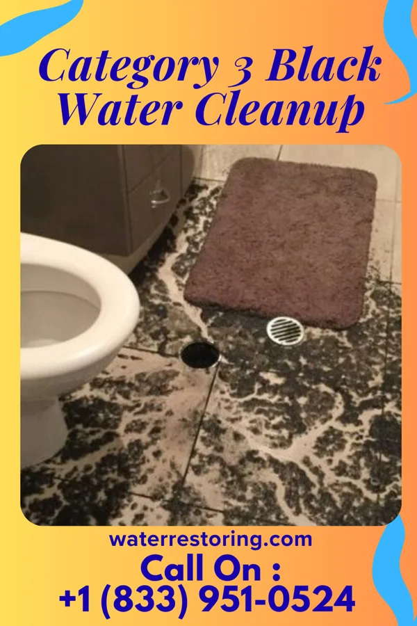 Category 3 Black Water Cleanup in Tompkinsville, KY