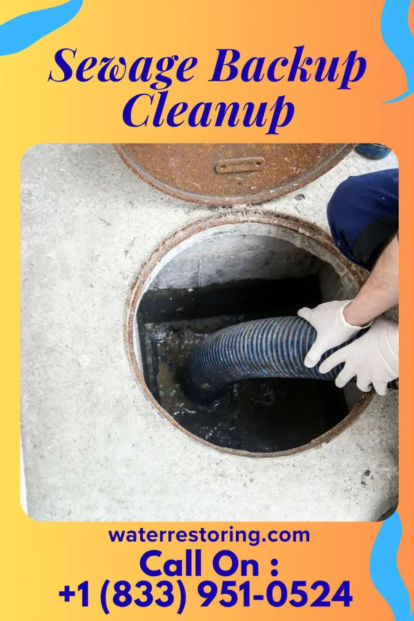 Sewage Backup Cleanup in Tompkinsville, KY